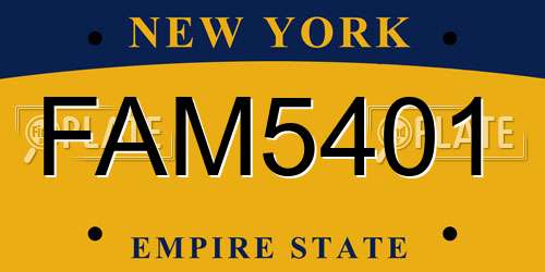 FAM5401 New York License Plate