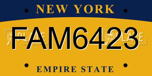 FAM6423 New York License Plate