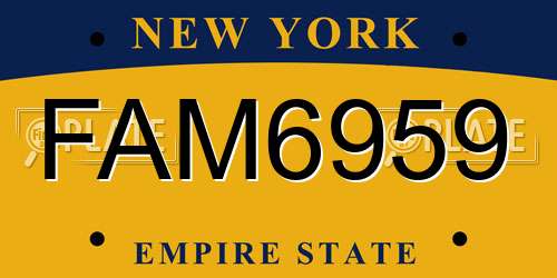 FAM6959 New York License Plate