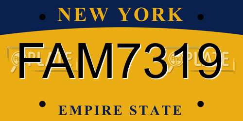 FAM7319 New York License Plate