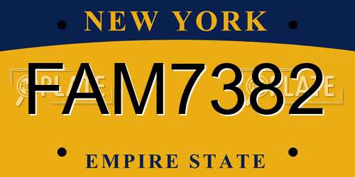 FAM7382 New York License Plate