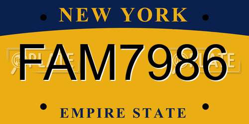 FAM7986 New York License Plate