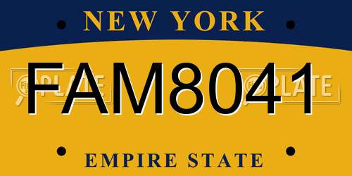 FAM8041 New York License Plate