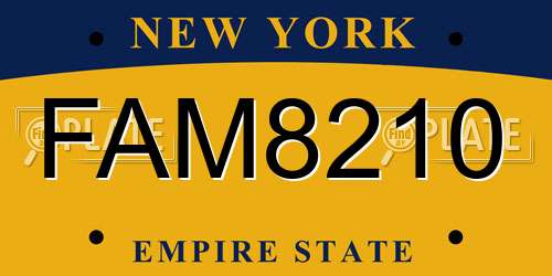 FAM8210 New York License Plate