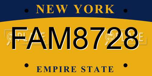 FAM8728 New York License Plate