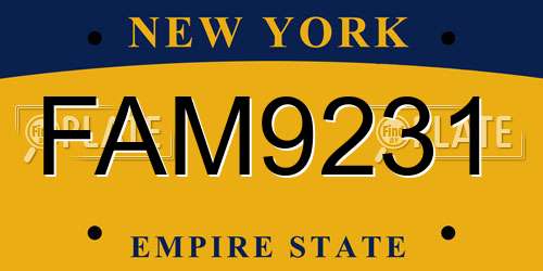 FAM9231 New York License Plate