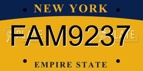 FAM9237 New York License Plate
