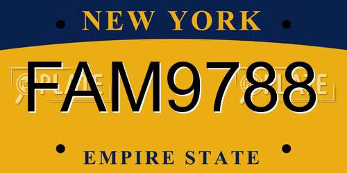 FAM9788 New York License Plate