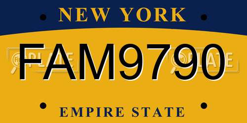 FAM9790 New York License Plate