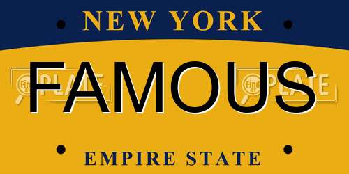 FAMOUS New York License Plate