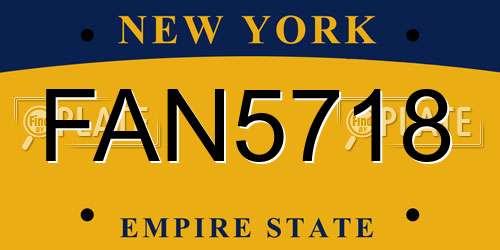 FAN5718 New York License Plate