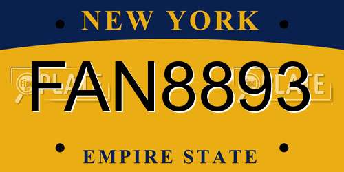 FAN8893 New York License Plate