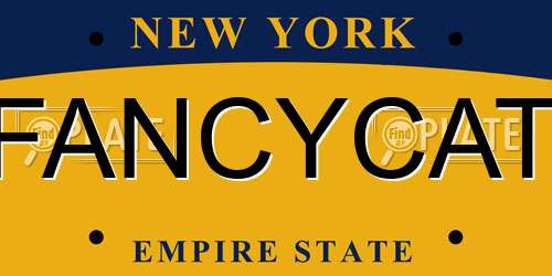 FANCYCAT New York License Plate