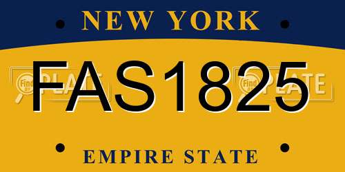 FAS1825 New York License Plate