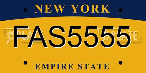 FAS5555 New York License Plate