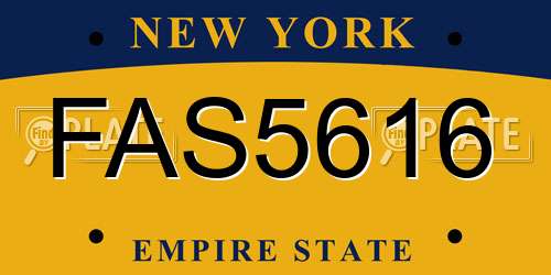 FAS5616 New York License Plate