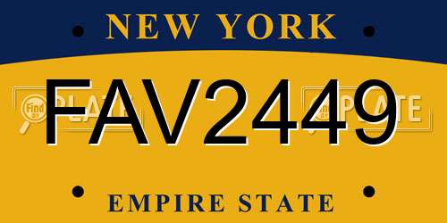 FAV2449 New York License Plate