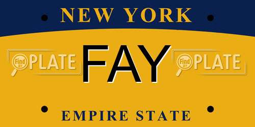 FAY New York License Plate