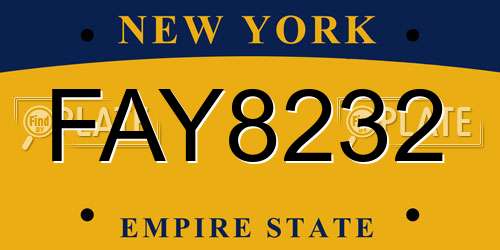 FAY8232 New York License Plate