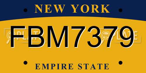 FBM7379 New York License Plate