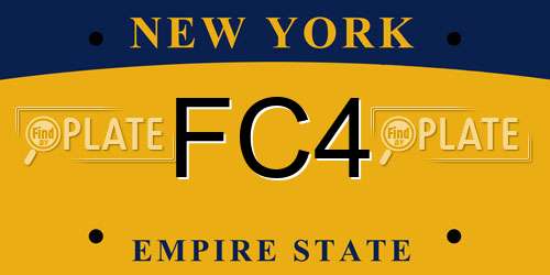 FC4 New York License Plate
