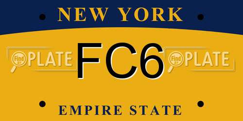 FC6 New York License Plate