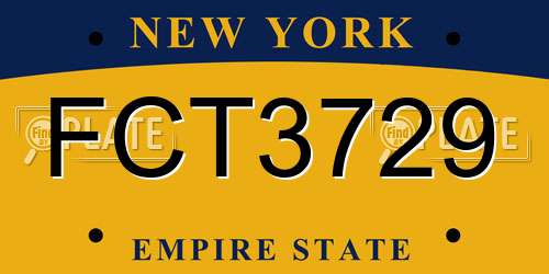 FCT3729 New York License Plate