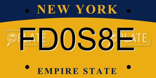FD0S8E New York License Plate