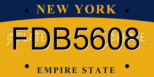 FDB5608 New York License Plate