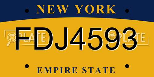 FDJ4593 New York License Plate