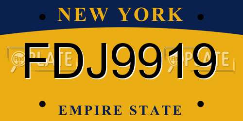 FDJ9919 New York License Plate