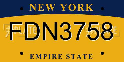 FDN3758 New York License Plate
