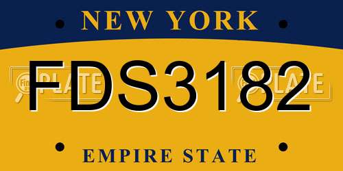 FDS3182 New York License Plate