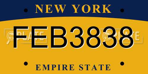 FEB3838 New York License Plate