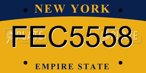 FEC5558 New York License Plate