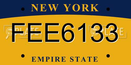 FEE6133 New York License Plate