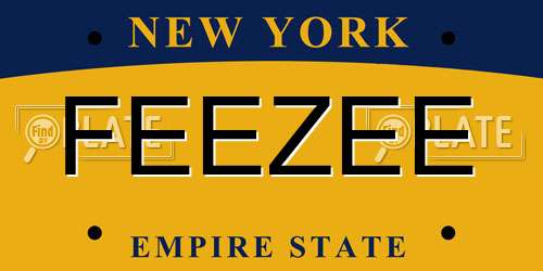 FEEZEE New York License Plate