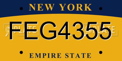 FEG4355 New York License Plate