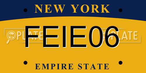 FEIE06 New York License Plate