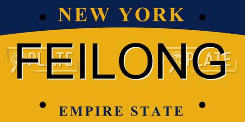 FEILONG New York License Plate