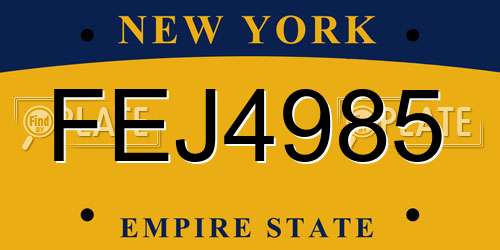 FEJ4985 New York License Plate