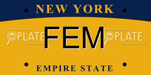 FEM New York License Plate