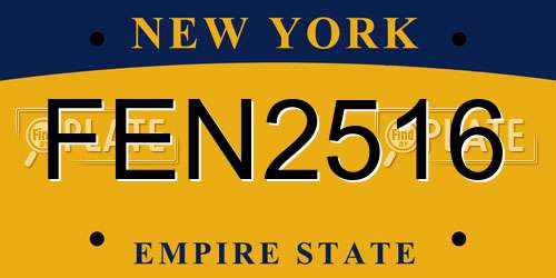 FEN2516 New York License Plate