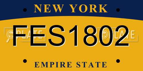 FES1802 New York License Plate