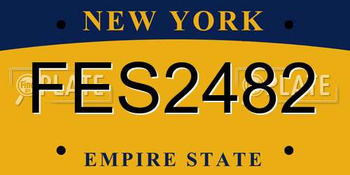 FES2482 New York License Plate