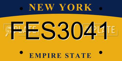 FES3041 New York License Plate
