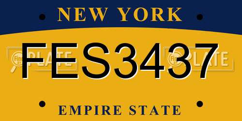 FES3437 New York License Plate