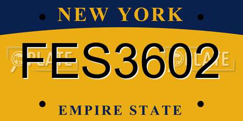 FES3602 New York License Plate