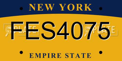 FES4075 New York License Plate