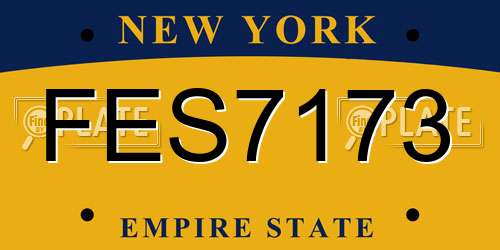 FES7173 New York License Plate